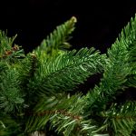 Girland Evergreen 270 cm