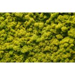 FARMOSA 3.4 DESIGN FÜGGESZTÉK
